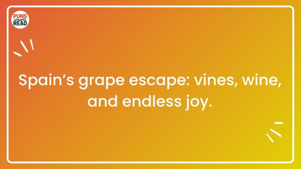 What a Grape Adventure: Wine and Puns from Spain