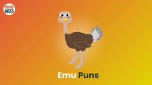 Emu Puns