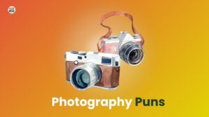 Photography Puns