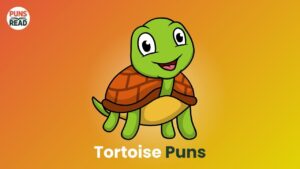 Tortoise Puns