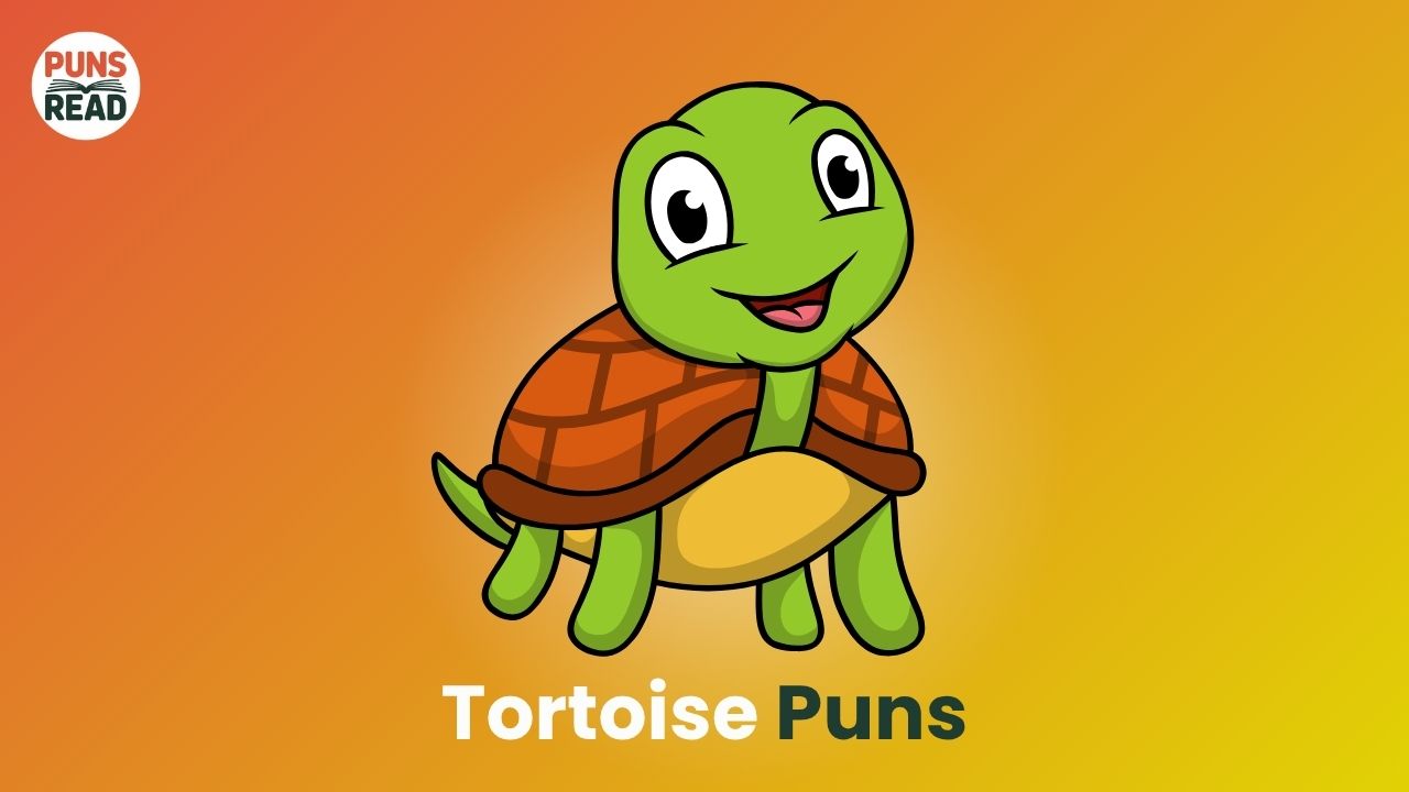 Tortoise Puns