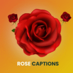 300+ Rose Captions & Quotes for Instagram