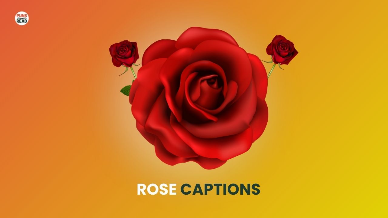 Rose Captions