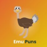 200+ Emu Puns to Make You Smile For 2025