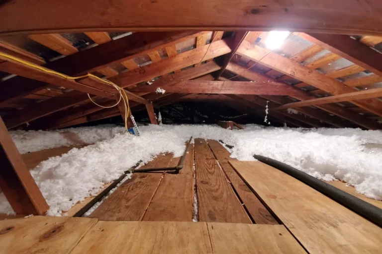 Attic Insulation Protects