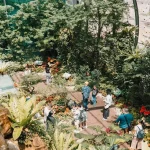 Free Things to Do in Changi Airport During Long Layovers