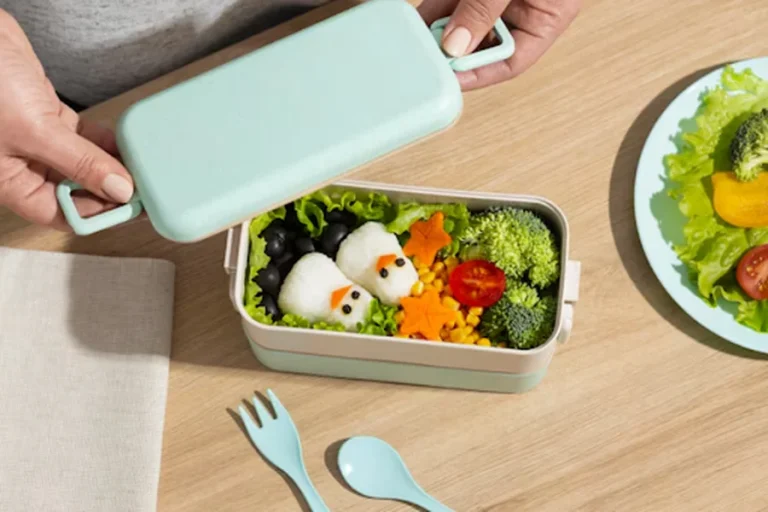 Lunch Box Singapore Stylish and Functional Options for On-the-Go Meals
